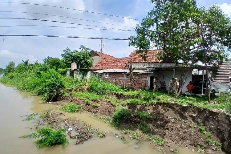 Ancaman Nyata Musim Hujan: Tanggul Sungai Made Lamongan Terkikis Arus Kuat!